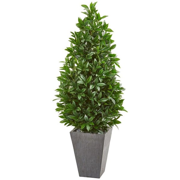 Nearly Naturals 57 in. Bay Leaf Cone Topiary Tree in Slate Planter 9369